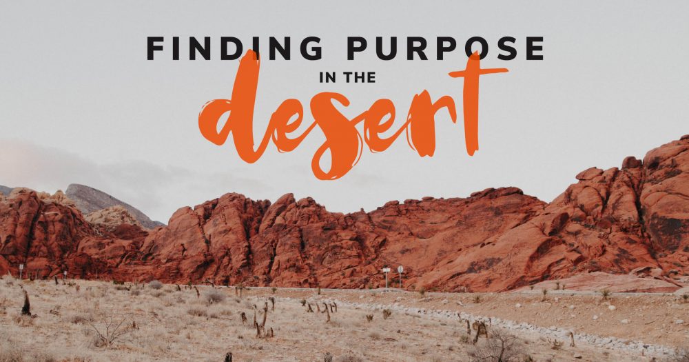 Finding-Purpose-in-the-Desert-New