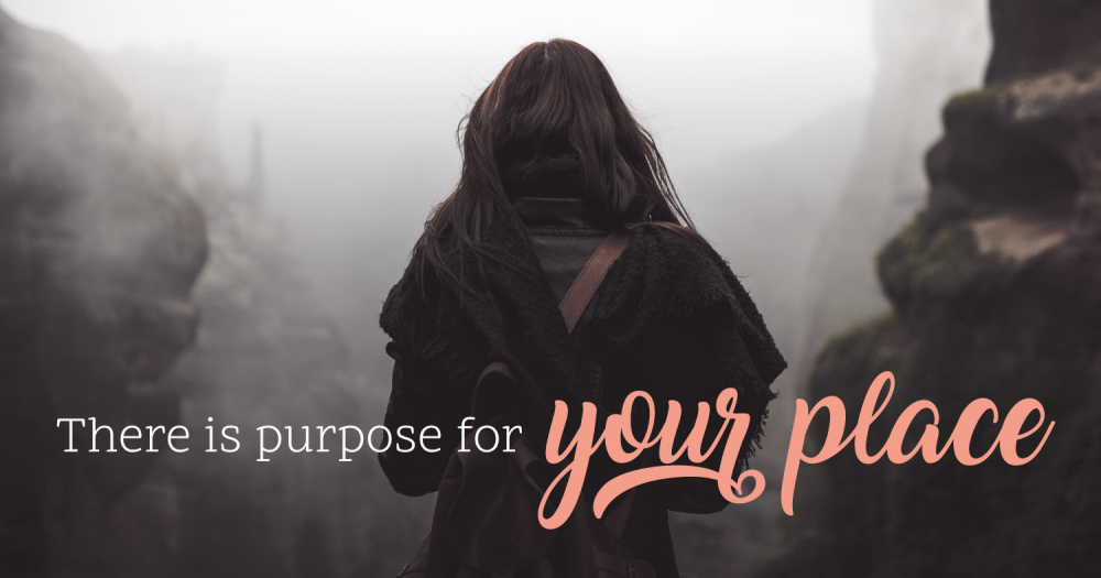 There's-Purpose-for-Your-Place