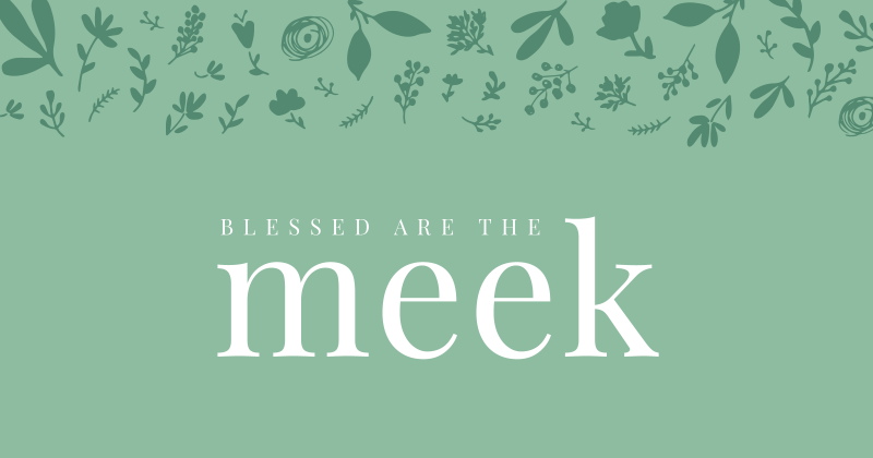 Meek-ad img